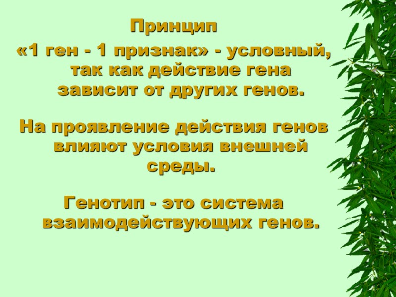 Принцип  «1 ген - 1 признак» - условный, так как действие гена зависит